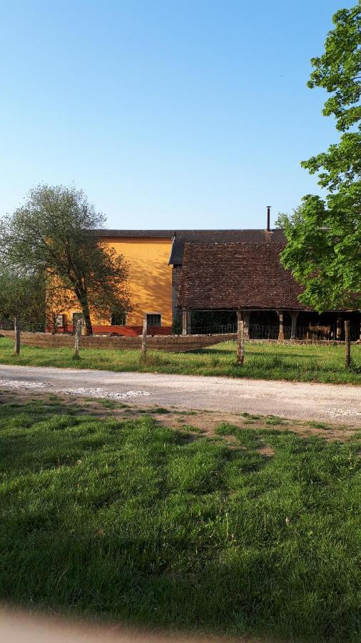 La Maison Du Potier Proche De Guedelon Saint-Amand-en-Puisaye Eksteriør bilde